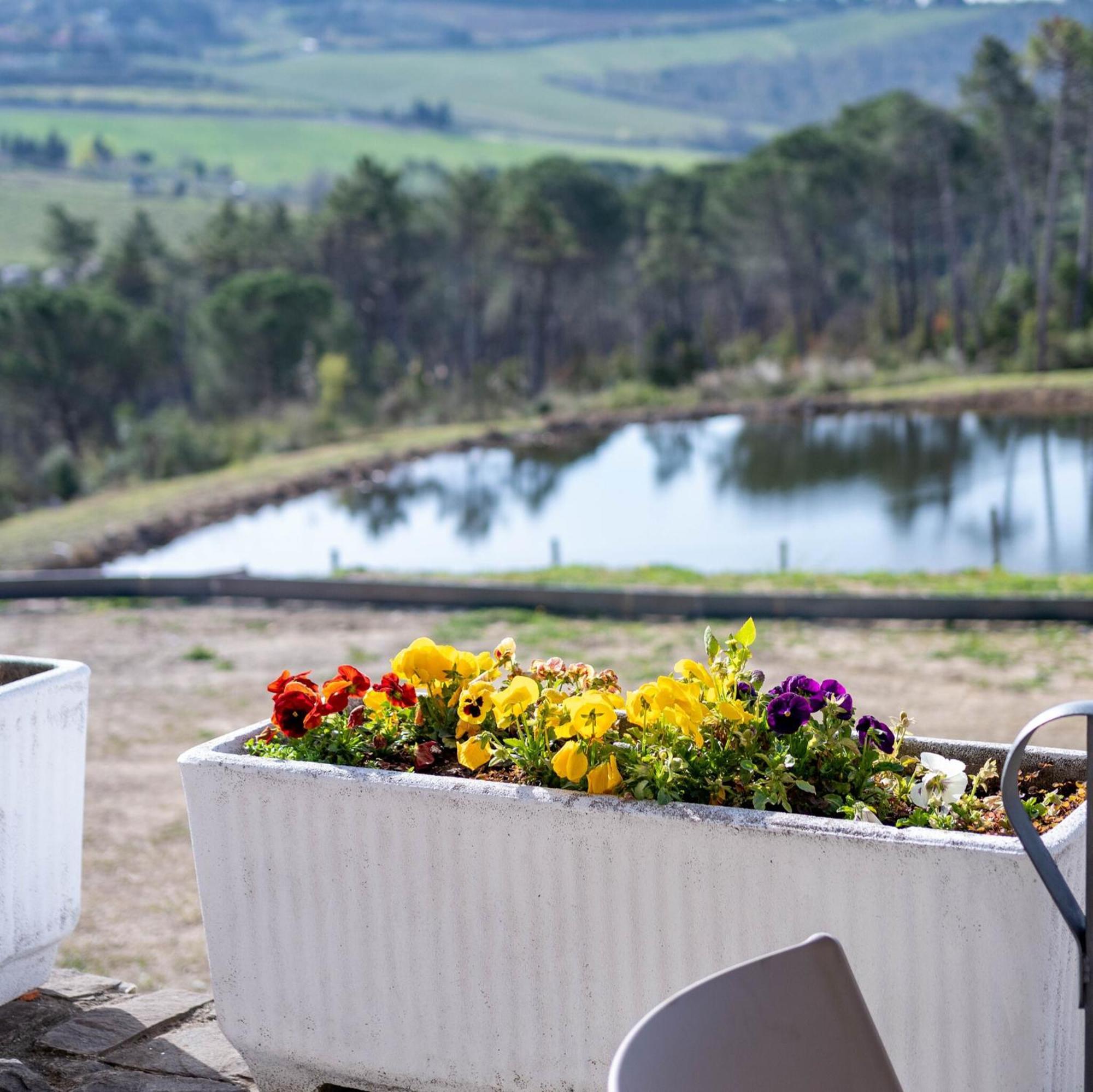 Casa Di Palaia Hotel Strada in Chianti Екстериор снимка